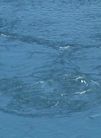 The Corryvreckan Whirlpool