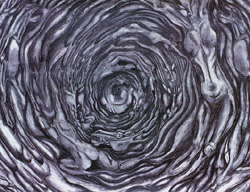 Corryvreckan Whirlpool Pictures, Argyll, Scotland - 'Kelpie' Illustration by Rebecca Barnett